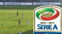 Sassuolo vs Inter Milan 0-1 ◆ All Goal & Highlight ◆ Serie A 18/2016