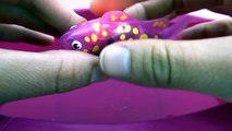 Robo fish led – Démo Robofish LED   compétition de natation avec les autres poissons robots