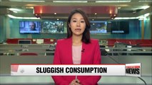 Ratio of sluggish consumption households hits highest since 2009