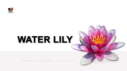 Flower Rhymes For Kids | Flower Rhymes|Flower Nursery Rhymes