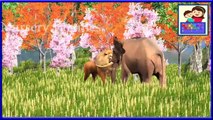 Learn Colors Song || Learn Colors With Lion & Elephant || Nursery Rhymes || Kids 3D Rhymes