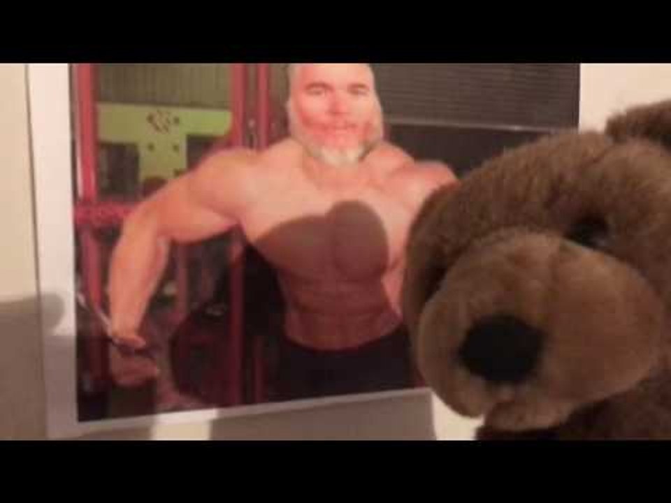 Kidnapped Bears Used as Sex Slaves!