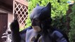 SuperHeroes in Real Life Compilation! Spiderman w/ Batman & Frozen Elsa - Funny Superhero Videos