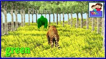 colors song with gorilla & tiger || 3d animated cartoons for kids || children nursery 3d rhymes
