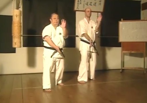 Shorin Ryu Karate