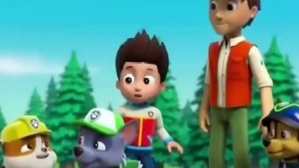 Animation Movies For Kids 2016 Pups Save a Sniffle Pups and the Ghost Cabin