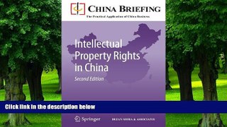 Buy  Intellectual Property Rights in China (China Briefing)   Full Book