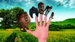 Learn Wild Animals Sounds Action Fight 3D Animals Finger Family Song Dinosaurs Cartoons for Children