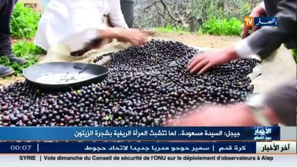 جيجل  السيدة مسعودة.. لما تتشبث المرأة الريفية بشجرة الزيتون