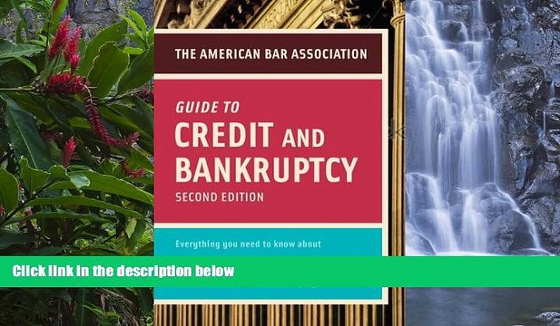 Online American Bar Association American Bar Association Guide to Credit and Bankruptcy, Second