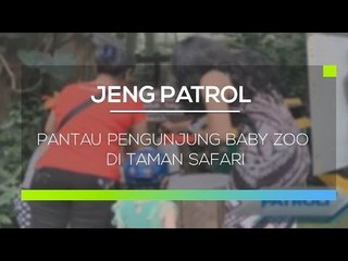 Pantau Pengunjung Baby Zoo di Taman Safari - Jeng Patrol