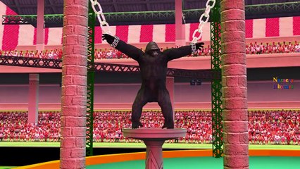 Colors Gorilla Finger Family Songs Children Nursery Rhymes | Gorilla Vs Dinosaur Fighting Movie