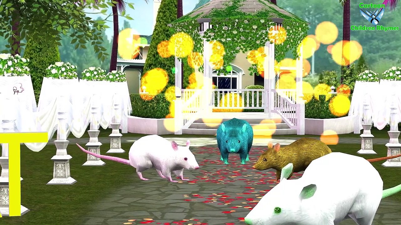 Colors Rings Nursery Rhymes Collection || Rings Song And More Children 3D Nursery Rhymes