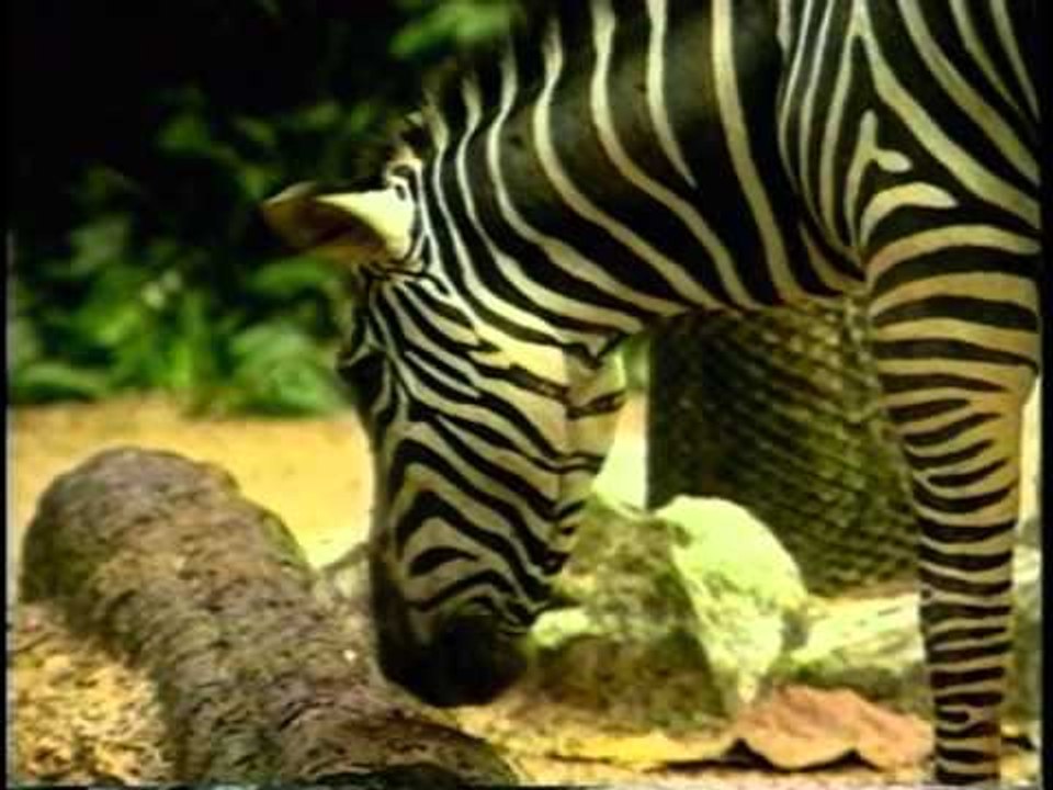 ABC English For Children Vol1 - Part 2