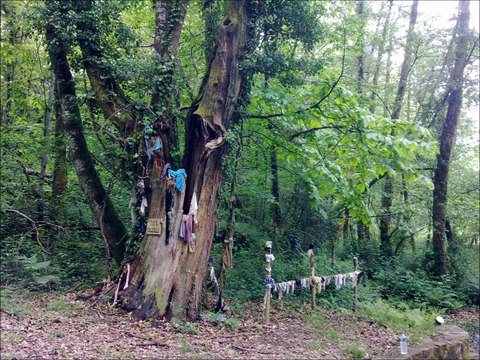 décembre 17, 2016 présentation de mon blog