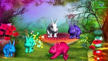 Learn animals 3D Video For Nursery Children | 3d Animals Collection | English Rhymes For Kids