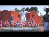 Indian - Pachai Kiligal Video | A.R.Rahman | Kamal Haasan , Manisha Koirala | Shankar