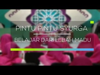 Pintu Pintu Syurga - Belajar Dari Lebah Madu