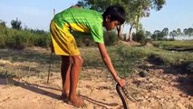 Wow! Children Catch Water Snake Using Bare Hand - How to Catch Water Snake in Cambodia