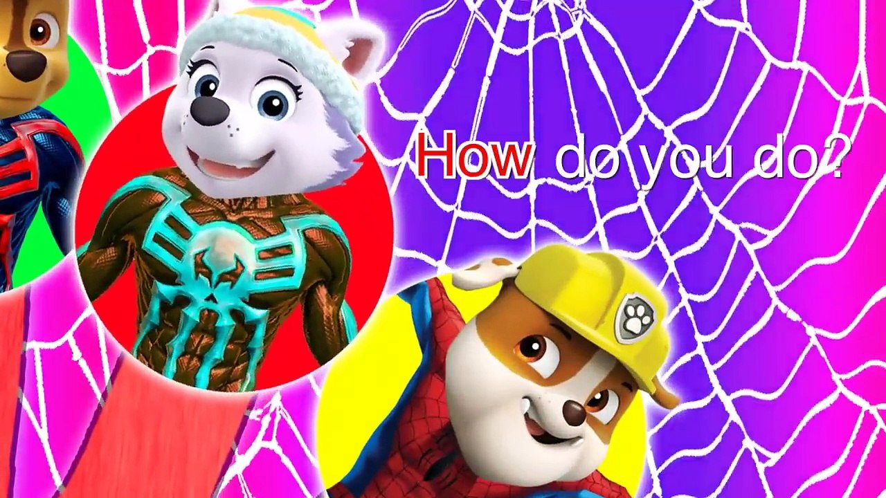 Paw Patrol Spiderman Lollipop Finger Family Nursery Rhymes Lyrics | New Episode Compilation