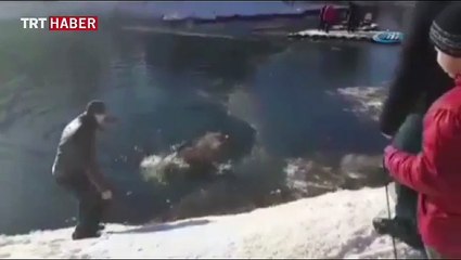 Kahraman adam köpeği böyle kurtardı