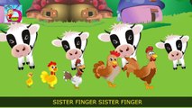 Finger Family Chicken Family | Daddy finger Daddy Finger | Angry birds finger family