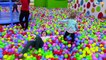 ВЛОГ Развлекательный Центр для Детей с Хелло Китти и Ярославой Прыгаем на Батуте Hello Kitty Toys