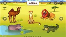 Animals Names and Sounds for kids | English Class Animal Food