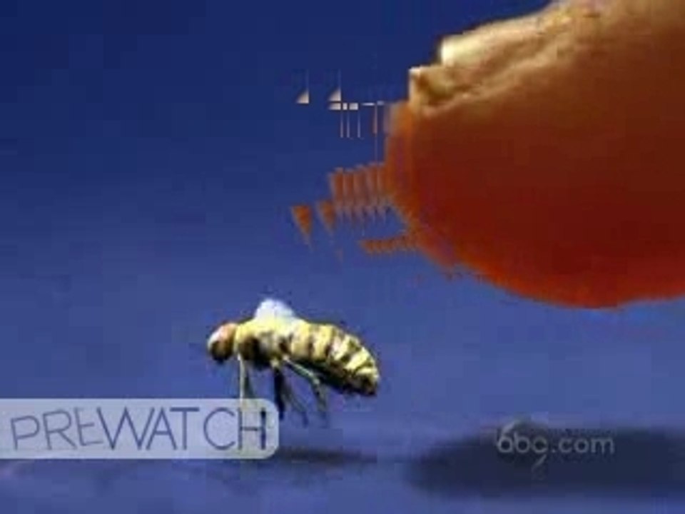 Pushing Daisies Promo Buzz