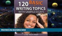 Online LIKE Test Prep 120 Basic Writing Topics with Sample Essays Q91-120 (120 Basic Writing