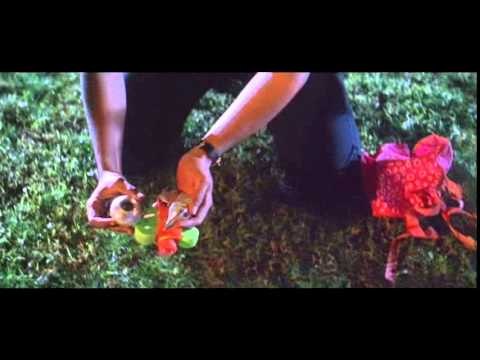 Jeans - Punnagayil Theemoti Video | A. R. Rahman | Prashanth, Aishwarya Rai | S. Shankar