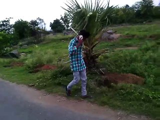 whats app funny videos