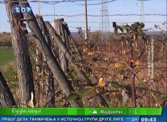 Budilica gostovanje (Goran Stančić), 19. decembar (RTV Bor)