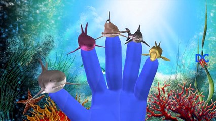 Animals Cartoon Finger Family | Finger Family Song 3D Animation Nursery Rhymes for Children