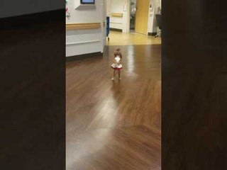 Upright Dog in a Dress Strolls Through Hospital