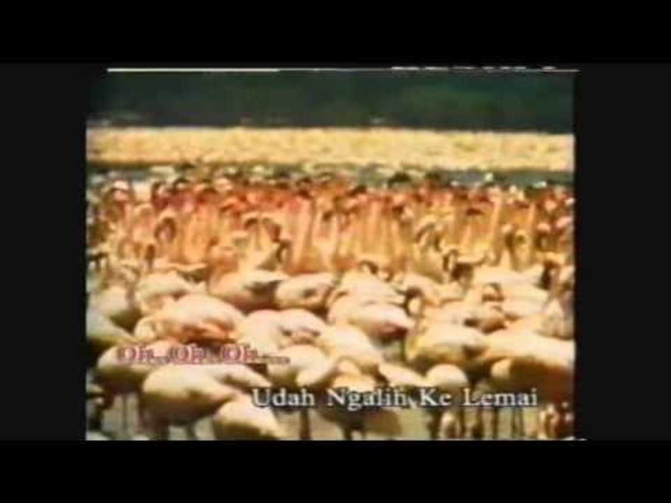 Udah Selatan Pengidup Aku
