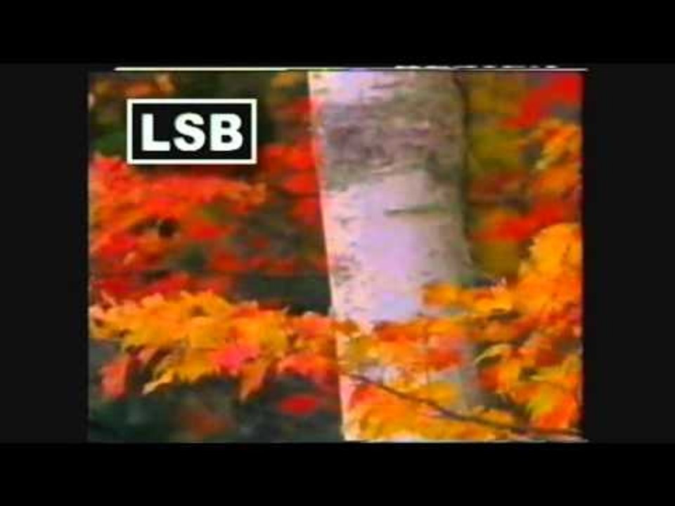Langkau Ujong Tanjo