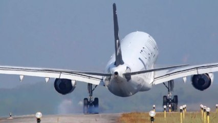 Everything You Wanted To Know About Holiday Travel