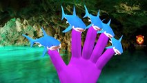 Shark Vs Dinosaur Finger Family Rhymes For Babies | Shark Finger Family Cartoons | Nursey Rhymes