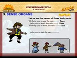 Sense Organs - Kids Educational Videos