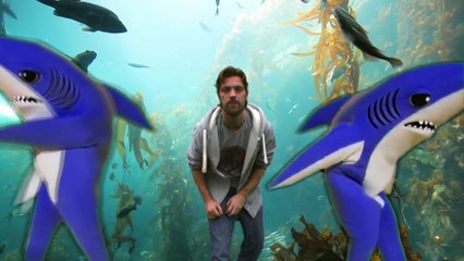 Hannah Secret Birthday Project 2016 (IPN)