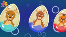 Kangaroo Surprise Egg | Surprise Eggs Finger Family | Surprise Eggs Toys