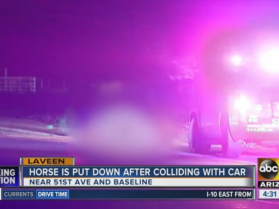 Horse put down after colliding with car in Laveen