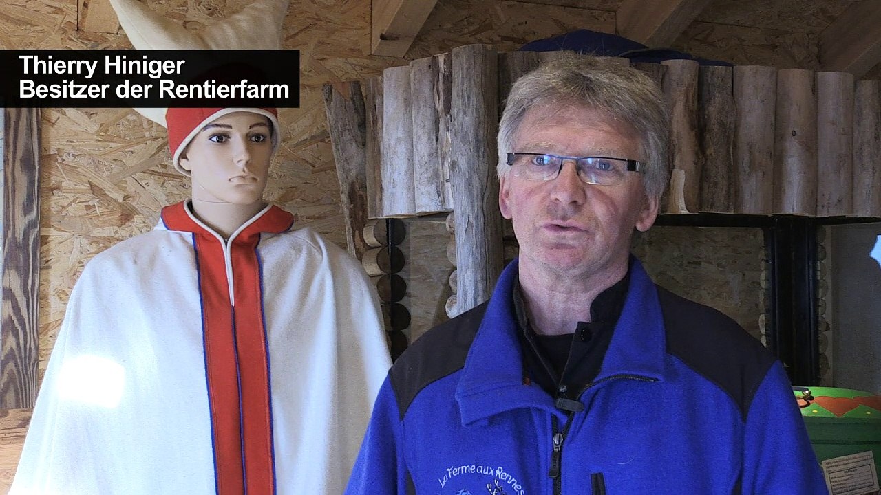 Rentiere leiden unter dem Klimawandel