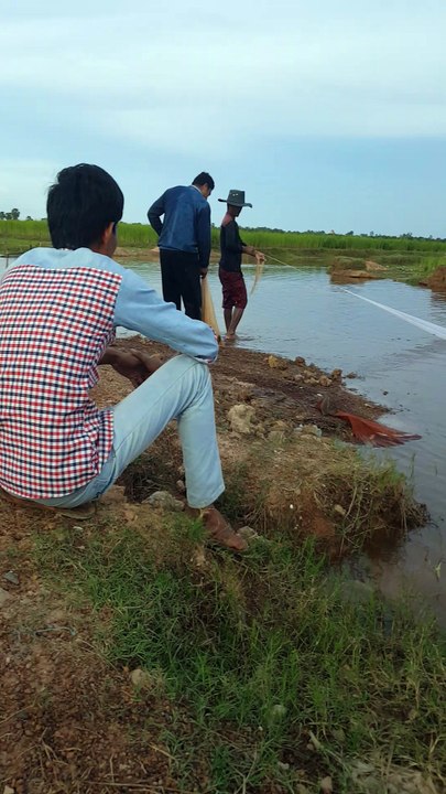 Catch fish in Cambodia, net fishing