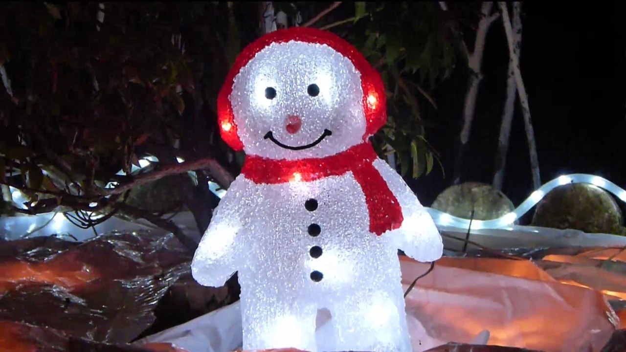 JEUX DE LUMIERES AUPRES D'UN ELEPHANT BLEU ...