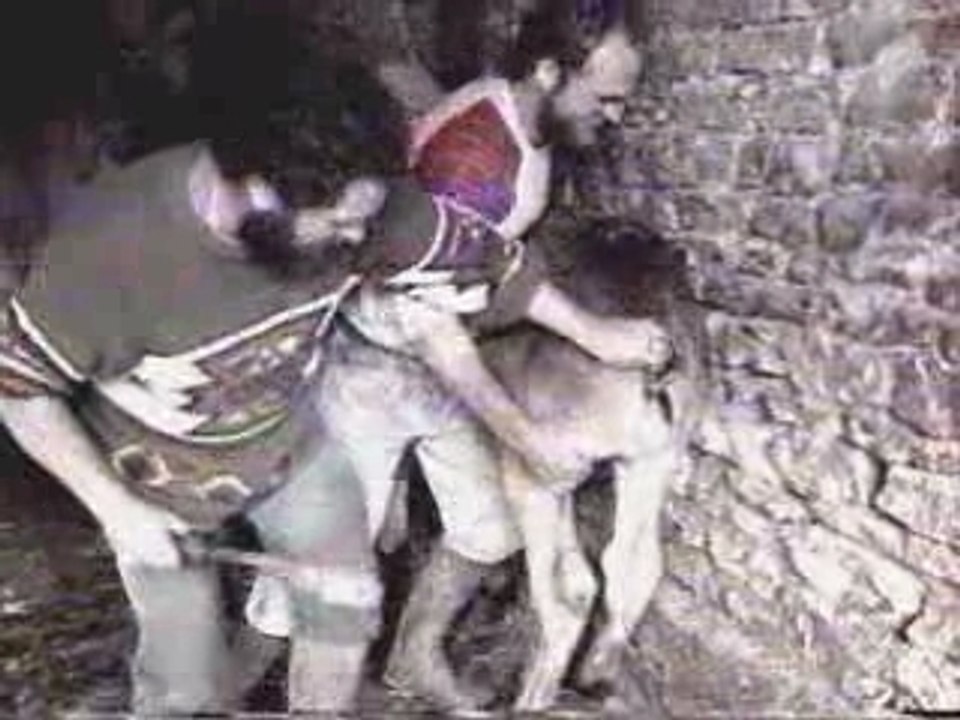 Telle Terre Tels fils