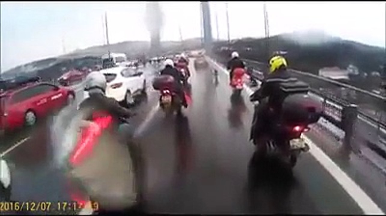 Cinq motards protègent un chien égaré sur l’autoroute...