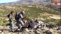 صيد الحيوانات البرية    ابشع مشاهد صيد الوعول بالرصاص فى اسبانيا    ليس لذوى القلوب الضعيفة