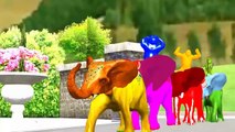 Biggest Animal Fights | Color Songs For Kids | Colour Dinosaurs Vs King Kong | Elephants Real Fight